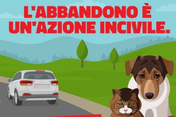 L&#39;abbandono &#232; un&#39;azione incivile