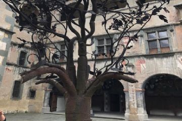 Sfoglia la galleria