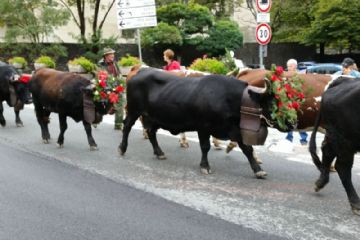 Sfilata nelle vie del paese